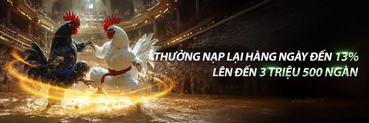 Chương Trình Đối Tác cdbet